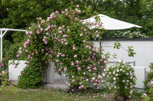 Vallby Cottage Enkoping Luaran gambar